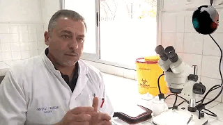 L'Institut Pasteur montre comment traiter la piqûre de moustique tigre